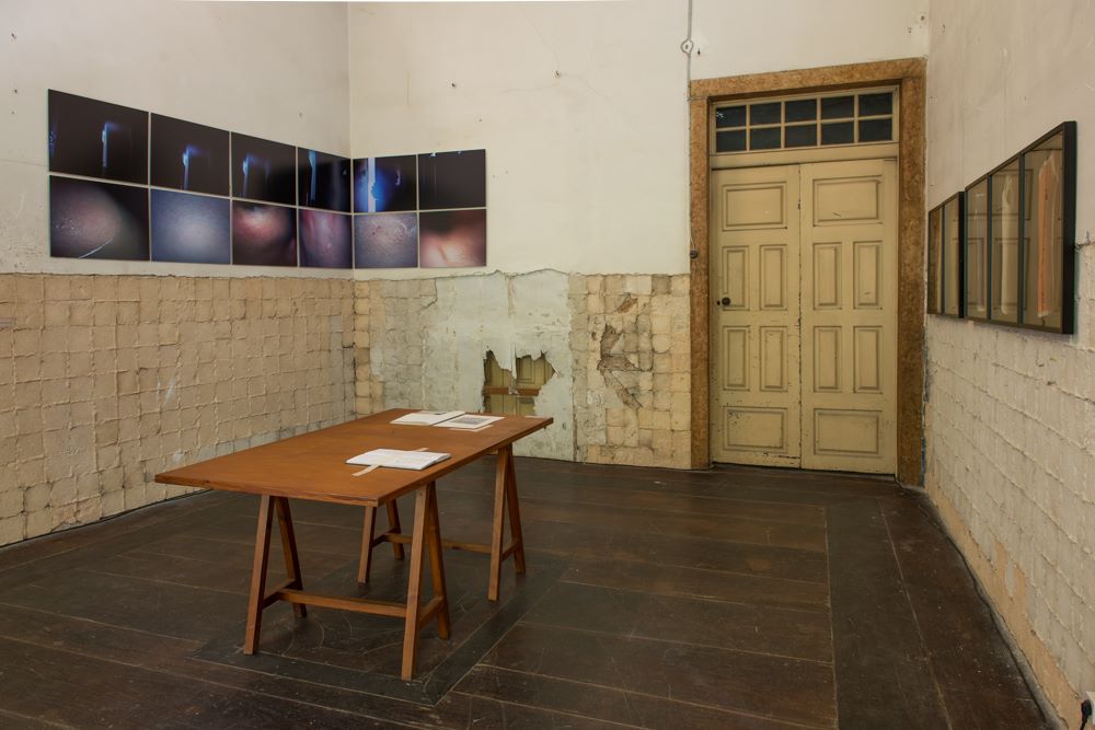 Fotografia: Juliana Falchetti